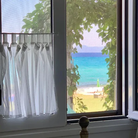 On The * 폴리크로노