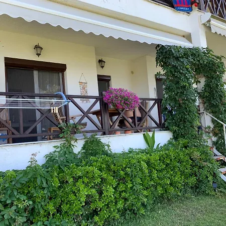 On The * 폴리크로노