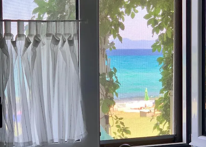 On The * 波利克罗诺