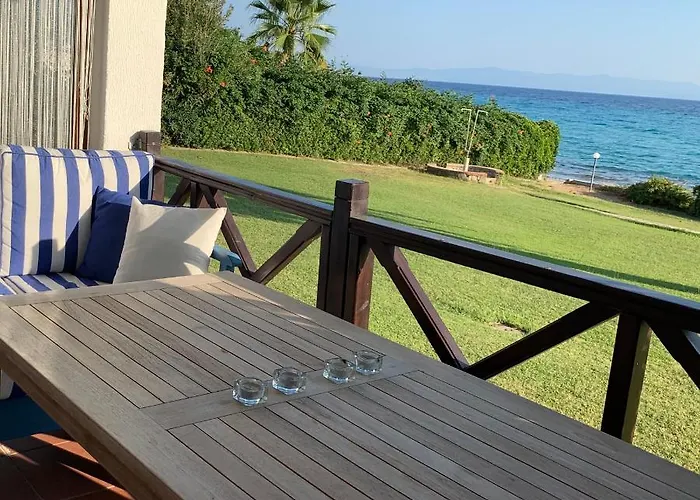 On The 波利克罗诺